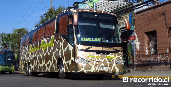 Buses Línea Azul