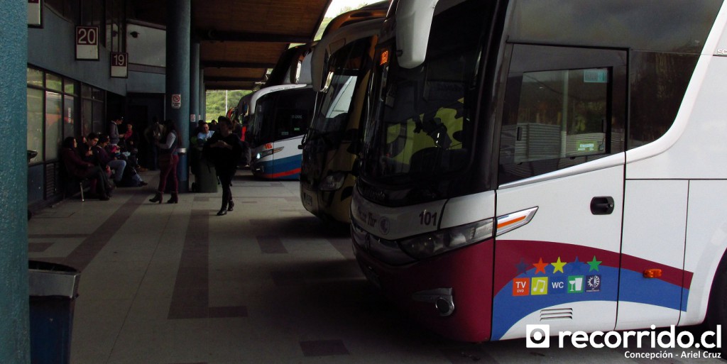 Terminal de Buses Collao Concepción